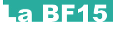 BF15logo1